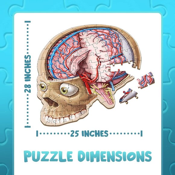 Human Brain Floor Puzzle - Doctor Livingston Jr Anatomy Model - 100 Piece Jigsaw - Picture 1 of 5